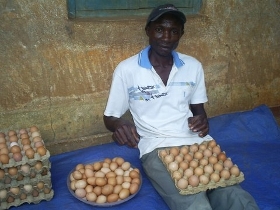 wvu uganda kippenproject opbrengst
